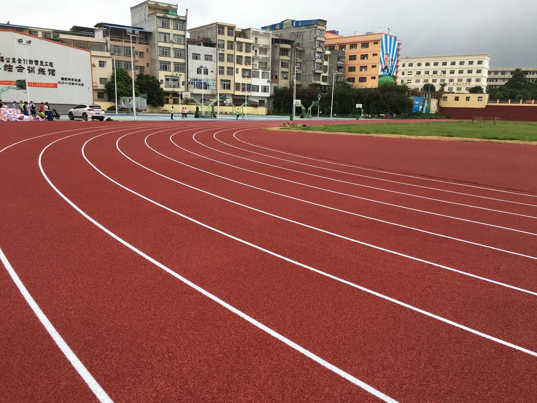 西双版纳傣族自治州塑胶跑道塑胶跑道材料 - 一站式服务